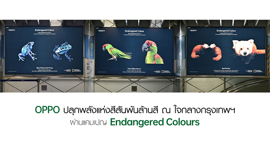 OPPO ปลุกพลังแห่งสีสันพันล้านสีผ่านแคมเปญ Endangered Colours 1