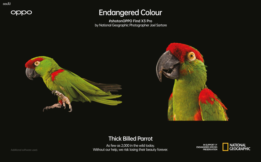 OPPO ปลุกพลังแห่งสีสันพันล้านสีผ่านแคมเปญ Endangered Colours 2