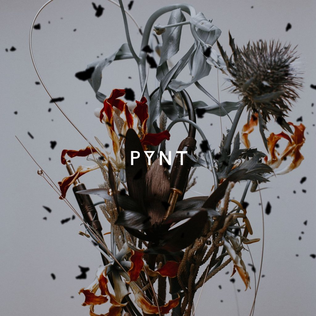 PYNT Album Cover